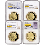 1 OZ AMERICAN GOLD BUFFALO NGC PROOF 69
