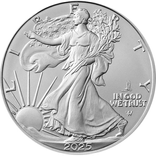 2025 1 OZ AMERICAN SILVER EAGLE EAGLE PRIVY - unsealed